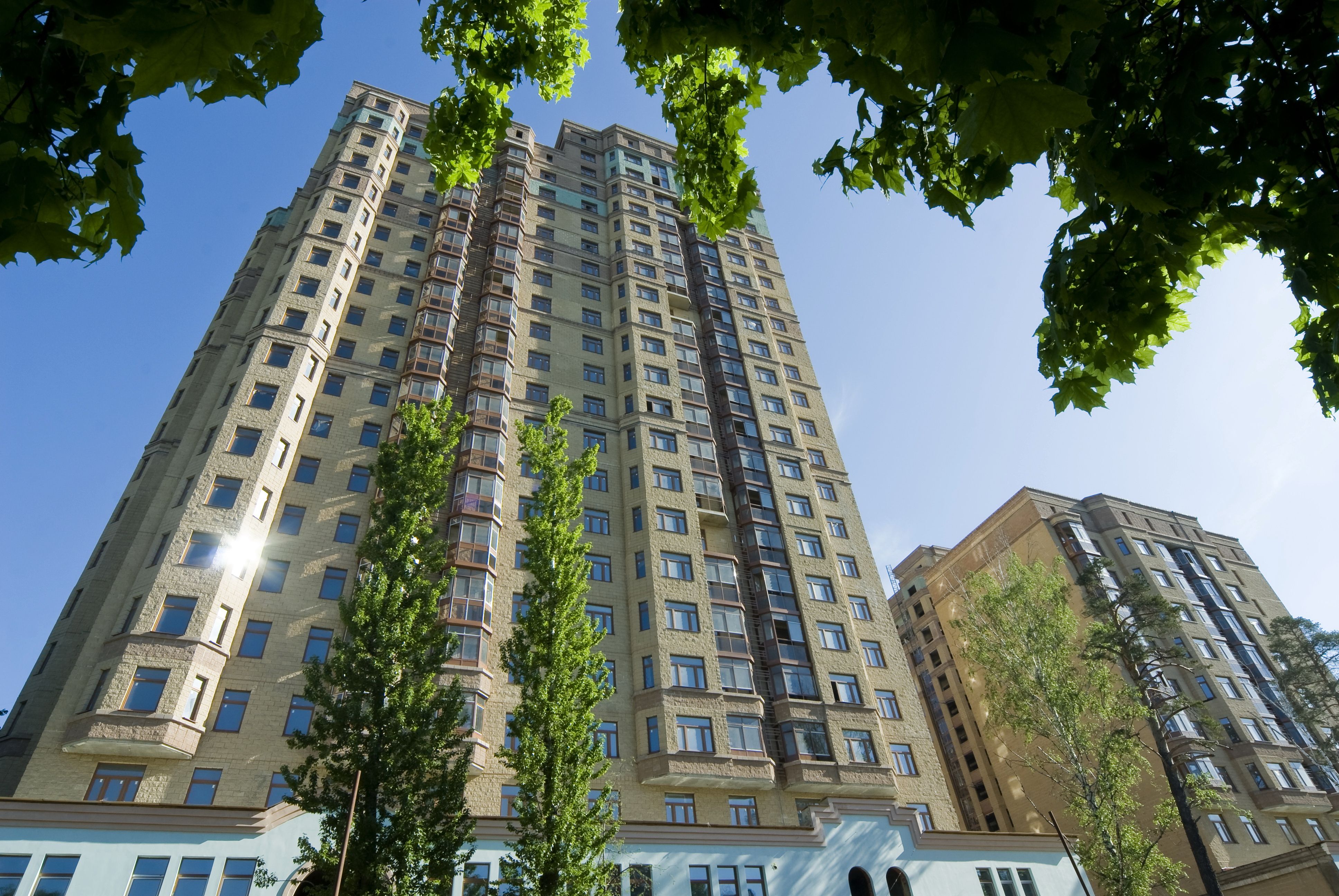 Barkli Доминанта